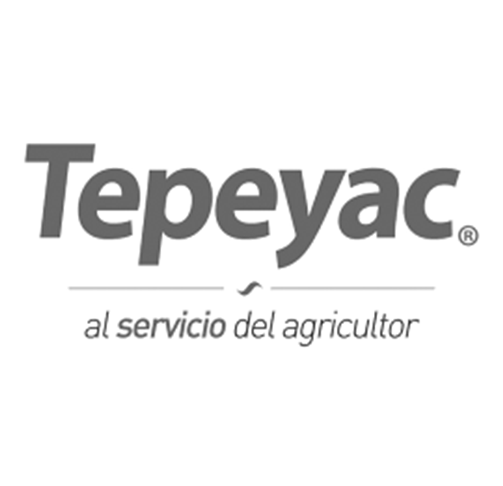 logo-Tepeyac
